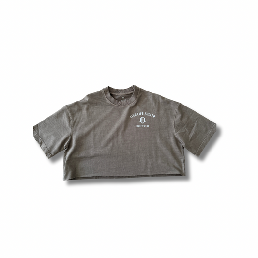 10 OZ OVERSIZED HEAVYWEIGHT CROPPED TEE - GRAY